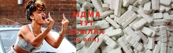 прущие грибы Богородск