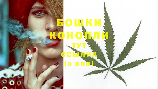 прущие грибы Богородск