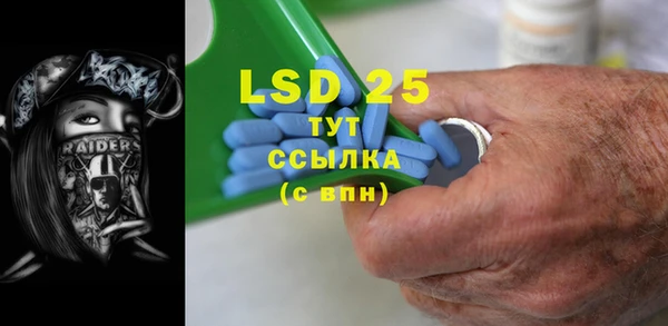 прущие грибы Бугульма