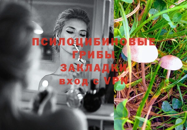 прущие грибы Богородск