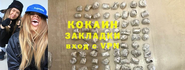 прущие грибы Бугульма