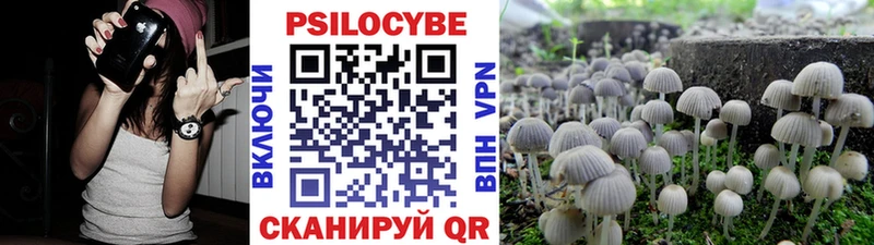 Галлюциногенные грибы ЛСД  закладки  Очёр 